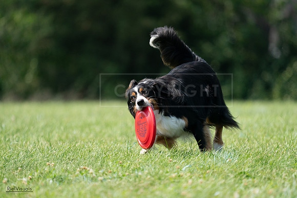 RielVisuals_20240728_144516_SJR09054
