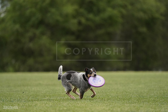 RielVisuals_20240526_132150_SJR07577