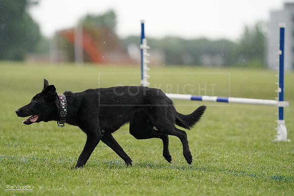 RielVisuals_20240526_092326_SJR09855
