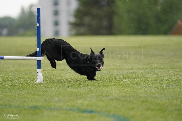 RielVisuals_20240526_092333_SJR09889