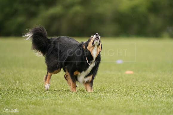 RielVisuals_20240527_133202_SJR00114