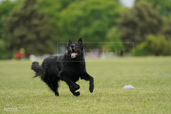 RielVisuals_20240526_133849_SJR08490