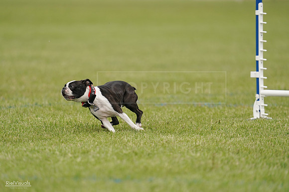RielVisuals_20240527_142648_SJR02808
