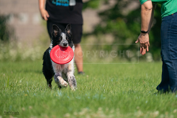 RielVisuals_20240727_100030_SJR08241