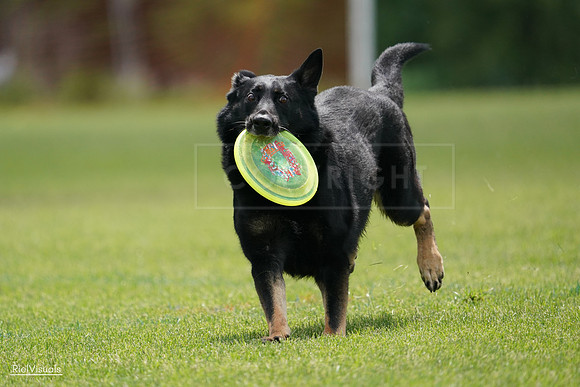 RielVisuals_20240527_141250_SJR01997