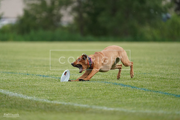RielVisuals_20240525_160916_SJR03589