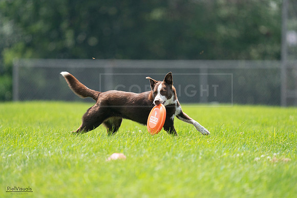 RielVisuals_20240728_135804_SJR07656