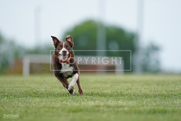 RielVisuals_20240525_162546_SJR04421