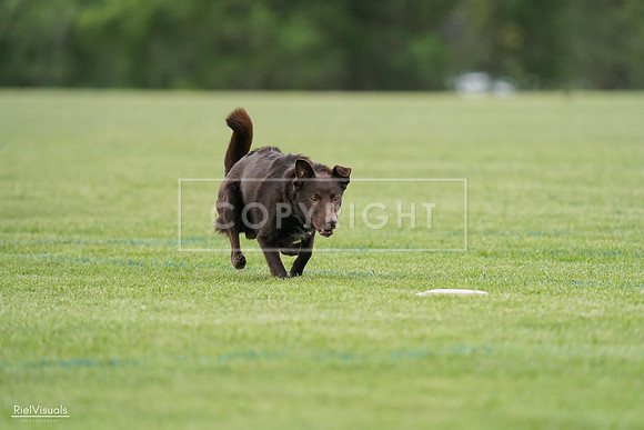 RielVisuals_20240525_162108_SJR04224