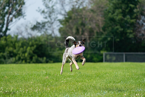 RielVisuals_20240728_103238_SJR08436