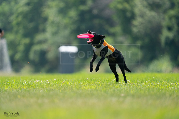 RielVisuals_20240727_130541_SJR06838
