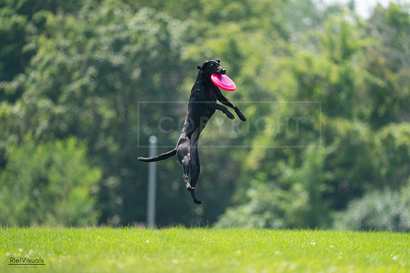RielVisuals_20240727_131007_SJR07030
