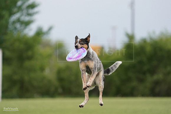 RielVisuals_20240526_133626_SJR08314