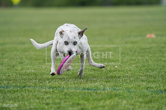 RielVisuals_20240525_135409_SJR09871
