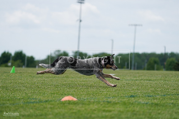 RielVisuals_20240525_125156_SJR01411