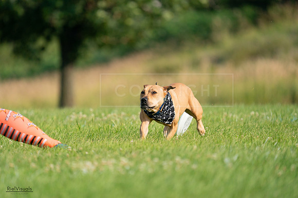 RielVisuals_20240728_083725_SJR03549