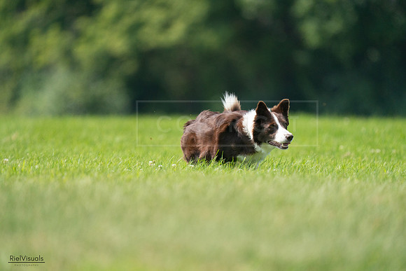 RielVisuals_20240727_115632_SJR04377