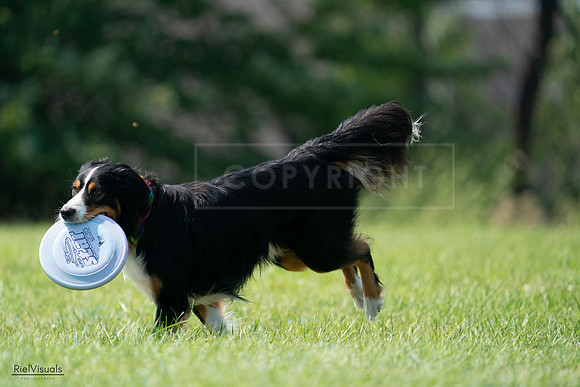 RielVisuals_20240728_144441_SJR09000