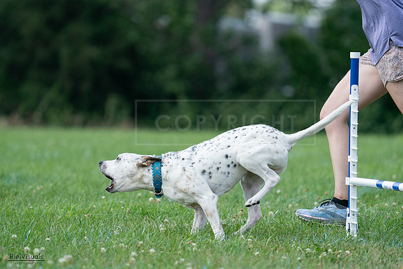 RielVisuals_20240727_145112_SJR01357