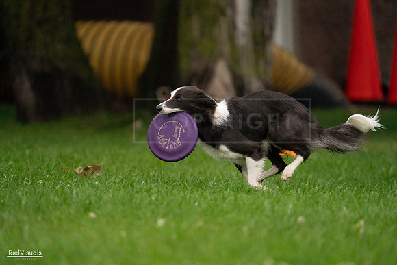 RielVisuals_20240722_192639_SJR00931
