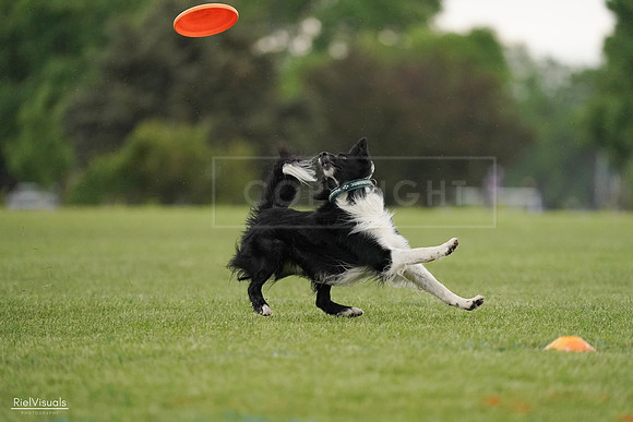 RielVisuals_20240526_095517_SJR01363