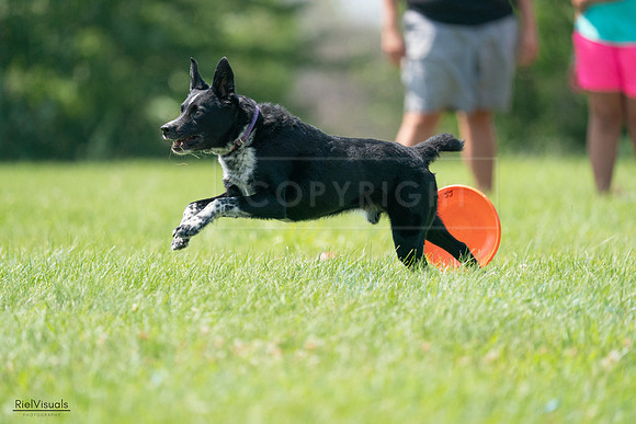 RielVisuals_20240728_143748_SJR08727