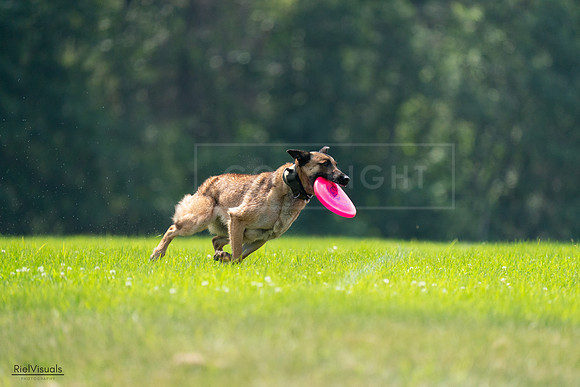 RielVisuals_20240727_123628_SJR05978