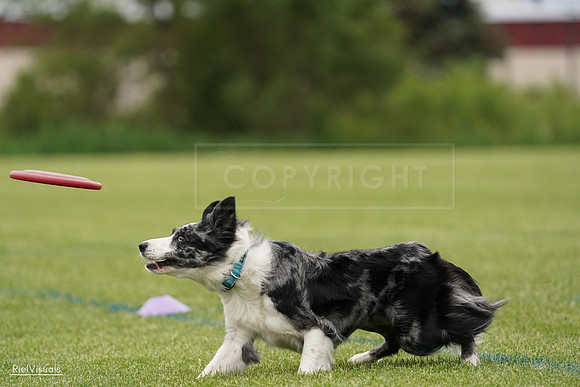 RielVisuals_20240526_133145_SJR08086