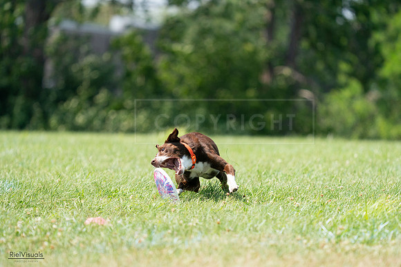 RielVisuals_20240728_144915_SJR09246
