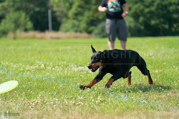 RielVisuals_20240728_103543_SJR08618