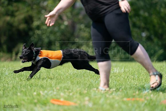 RielVisuals_20240727_134500_SJR08278
