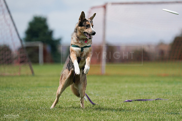 RielVisuals_20240527_141700_SJR02208