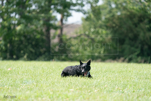 RielVisuals_20240728_143753_SJR08734