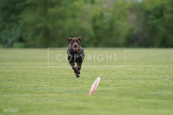 RielVisuals_20240525_162654_SJR04465