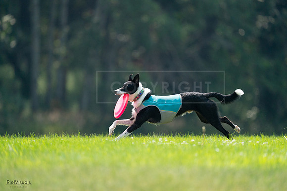 RielVisuals_20240727_120354_SJR04643