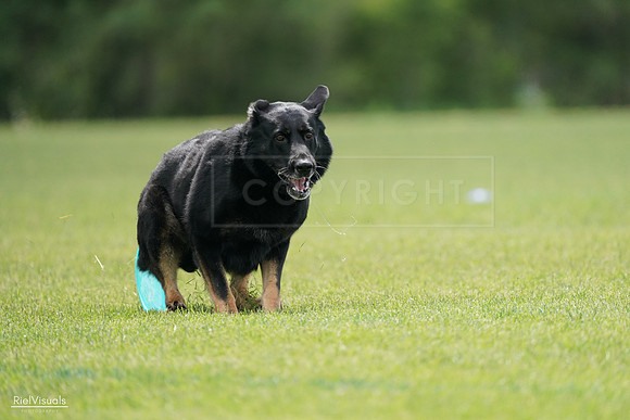 RielVisuals_20240527_141302_SJR02019