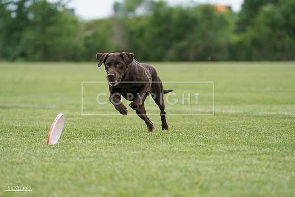 RielVisuals_20240525_162830_SJR04559