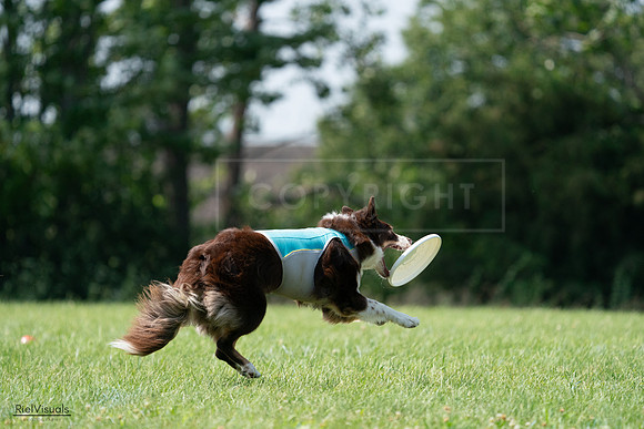 RielVisuals_20240728_144720_SJR09123