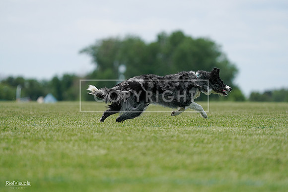 RielVisuals_20240525_124347_SJR00997