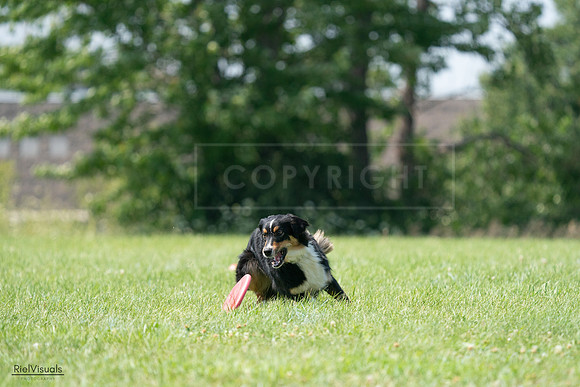 RielVisuals_20240728_143236_SJR08494