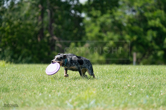 RielVisuals_20240728_145227_SJR09451