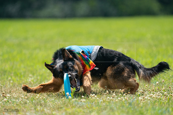 RielVisuals_20240728_135146_SJR07311