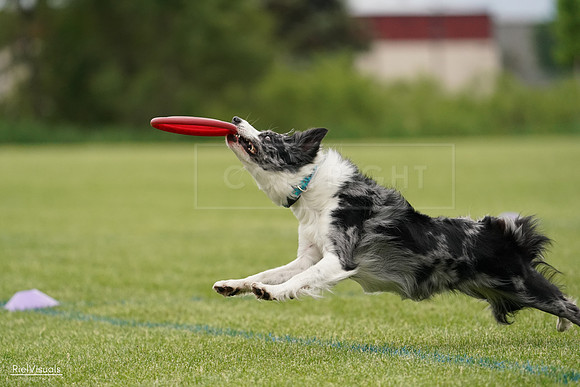 RielVisuals_20240526_133145_SJR08084