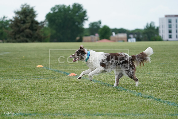 RielVisuals_20240525_135144_SJR09759