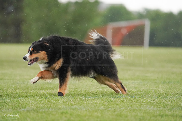 RielVisuals_20240526_094611_SJR00984