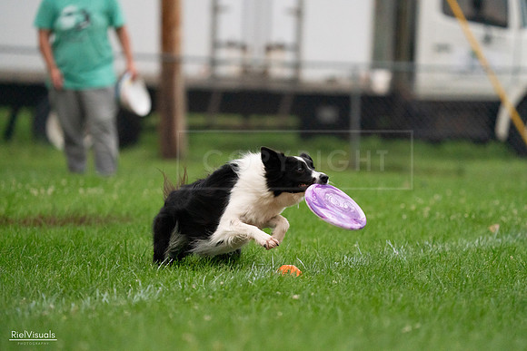 RielVisuals_20240722_194025_SJR01784