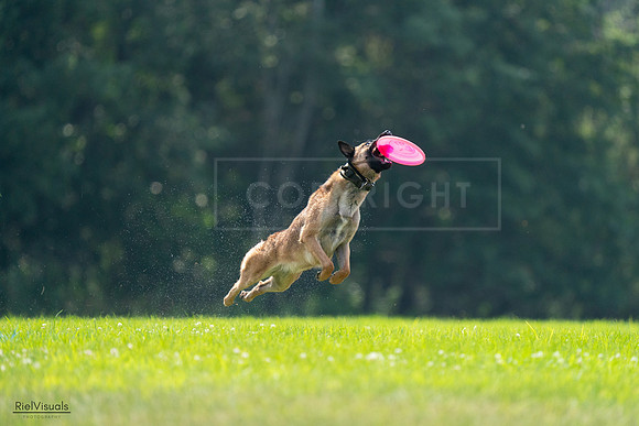 RielVisuals_20240727_123627_SJR05970