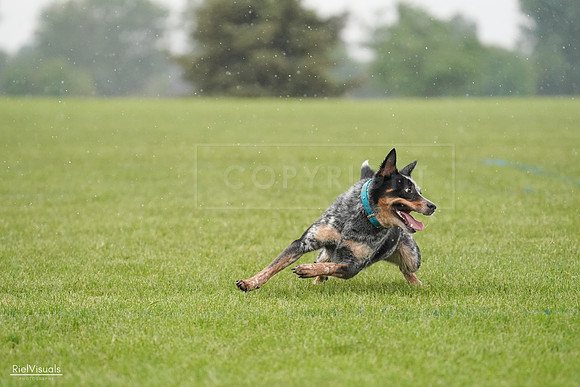 RielVisuals_20240527_105254_SJR02164