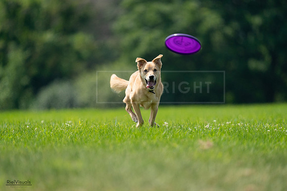RielVisuals_20240727_120045_SJR04504