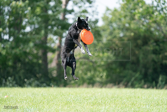 RielVisuals_20240728_143733_SJR08714